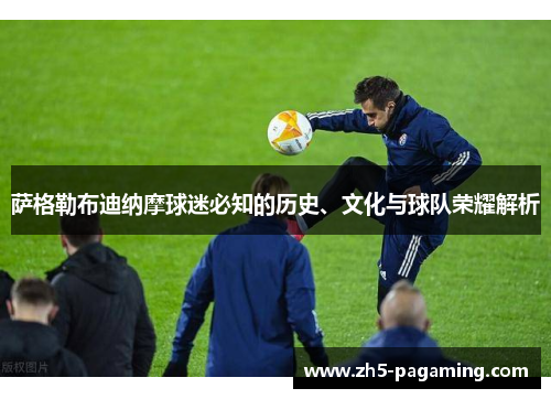 萨格勒布迪纳摩球迷必知的历史、文化与球队荣耀解析