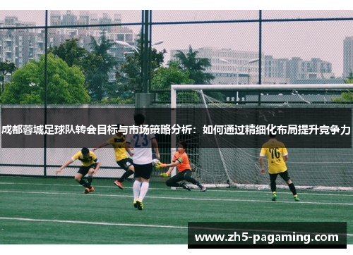成都蓉城足球队转会目标与市场策略分析：如何通过精细化布局提升竞争力