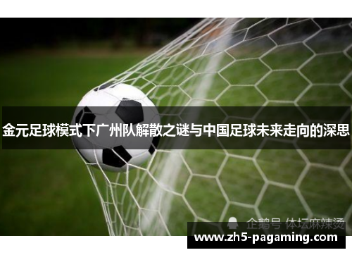 金元足球模式下广州队解散之谜与中国足球未来走向的深思