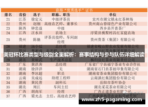 美冠杯比赛类型与级别全面解析：赛事结构与参与队伍详细解读
