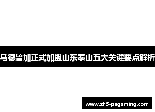 马德鲁加正式加盟山东泰山五大关键要点解析